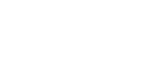 Patel Kwan Consultancy White Logo